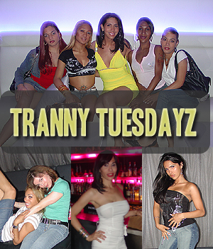 Shemale Tranny Tuesday Party