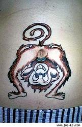 Click image for larger version. 

Name:	monkey_anus_navel_294a11090_559.jpg 
Views:	542 
Size:	29.0 KB 
ID:	243893