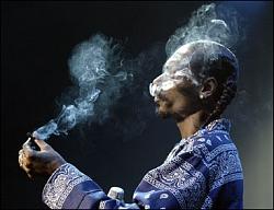 Click image for larger version. 

Name:	snoop-dogg.jpg 
Views:	244 
Size:	28.8 KB 
ID:	347533