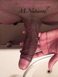 Click image for larger version. 

Name:	nutwood14.jpg 
Views:	29404 
Size:	110.3 KB 
ID:	449091