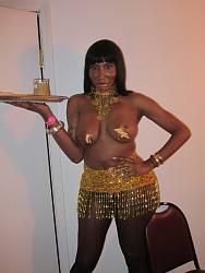 Click image for larger version. 

Name:	Tranny-Gold-Party-002.jpg 
Views:	4164 
Size:	428.4 KB 
ID:	450665
