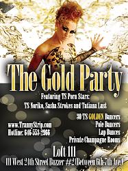 Click image for larger version. 

Name:	Gold Party Back.jpg 
Views:	1073 
Size:	539.7 KB 
ID:	464595