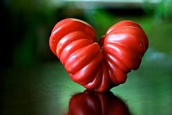 Click image for larger version. 

Name:	heart-tomato.jpg 
Views:	438 
Size:	31.3 KB 
ID:	496513