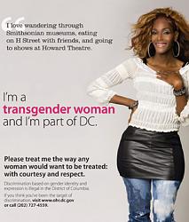 Click image for larger version. 

Name:	dc-trans-quick-pic-400x470.jpg 
Views:	2334 
Size:	39.3 KB 
ID:	587414