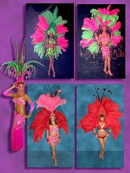 Click image for larger version. 

Name:	Showgirls-CmpA.jpg 
Views:	3798 
Size:	89.5 KB 
ID:	633005