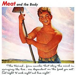 Click image for larger version. 

Name:	meat44body_126.jpg 
Views:	852 
Size:	138.5 KB 
ID:	98130