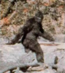 Click image for larger version. 

Name:	Bigfoot.jpg 
Views:	1069 
Size:	12.8 KB 
ID:	385704