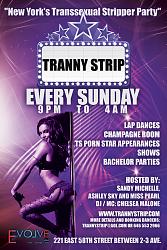 Click image for larger version. 

Name:	TrannyStrip Back GENERIC flyer.jpg 
Views:	325 
Size:	536.1 KB 
ID:	422387