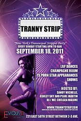 Click image for larger version. 

Name:	trannyStrip_back.jpg 
Views:	328 
Size:	170.9 KB 
ID:	420279