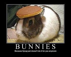 Click image for larger version. 

Name:	bunnies_626.jpg 
Views:	977 
Size:	64.0 KB 
ID:	266660