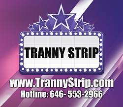 Click image for larger version. 

Name:	TrannyStripHILOGO.jpg 
Views:	1632 
Size:	285.7 KB 
ID:	543908