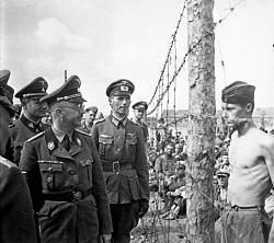 Click image for larger version. 

Name:	PoW Horace Greasley defiantly confronts Heinrich Himmler during an inspection of the camp he was.jpg 
Views:	663 
Size:	71.0 KB 
ID:	731610