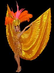 Click image for larger version. 

Name:	Gold Showgirl.jpg 
Views:	1563 
Size:	106.0 KB 
ID:	436993