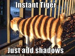 Click image for larger version. 

Name:	funny_pictures_your_cat_has_tiger_stripes_213.jpg 
Views:	1264 
Size:	44.6 KB 
ID:	277092