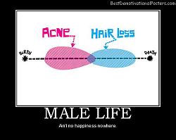 Click image for larger version. 

Name:	male-life-acne-hair-loss-best-demotivational-posters.jpg 
Views:	163 
Size:	28.9 KB 
ID:	594743