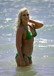 Click image for larger version. 

Name:	brooke_hogan_1_2_205.jpg 
Views:	2699 
Size:	60.4 KB 
ID:	191302