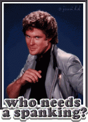 Click image for larger version. 

Name:	Hoff.gif 
Views:	208 
Size:	73.0 KB 
ID:	405571