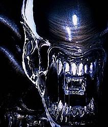 Click image for larger version. 

Name:	alien 2.jpg 
Views:	131 
Size:	34.7 KB 
ID:	600651