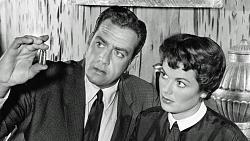 Click image for larger version. 

Name:	WEB-goods-dvds-perrymason26rv1.jpg 
Views:	95 
Size:	37.0 KB 
ID:	704152