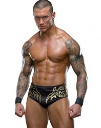 Click image for larger version. 

Name:	randy-orton.jpg 
Views:	407 
Size:	35.6 KB 
ID:	499799