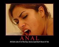 Click image for larger version. 

Name:	anal.jpg 
Views:	196 
Size:	36.8 KB 
ID:	433114