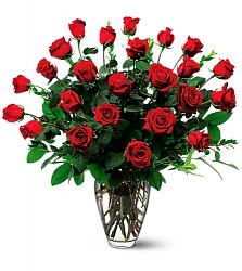 Click image for larger version. 

Name:	two-dozen-red-roses4.jpg 
Views:	1271 
Size:	62.9 KB 
ID:	372876