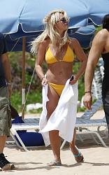 Click image for larger version. 

Name:	Brit Spears 1 (2).jpg 
Views:	850 
Size:	93.4 KB 
ID:	339625