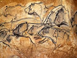Click image for larger version. 

Name:	ChauvetCavePaintings_Lions_WEB_1014x760.jpg 
Views:	49 
Size:	609.1 KB 
ID:	1061019