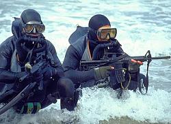 Click image for larger version. 

Name:	Navy_SEALs.jpg 
Views:	147 
Size:	37.8 KB 
ID:	745578