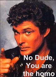 Click image for larger version. 

Name:	Hasselhoff.jpg 
Views:	199 
Size:	20.1 KB 
ID:	405575