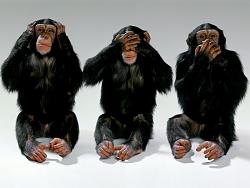 Click image for larger version. 

Name:	wildlife-monkeys-hear-no-evil-see-no-evil-speak-no-evil.jpg 
Views:	3395 
Size:	74.2 KB 
ID:	501976