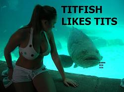 Click image for larger version. 

Name:	titfish.jpg 
Views:	877 
Size:	48.0 KB 
ID:	419710