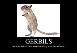 Click image for larger version. 

Name:	poster_gerbils_204.jpg 
Views:	760 
Size:	78.0 KB 
ID:	266856