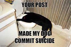 Click image for larger version. 

Name:	suicidedog_136.jpeg 
Views:	6812 
Size:	25.8 KB 
ID:	65405