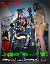 Click image for larger version. 

Name:	paris_pride_000_132.jpg 
Views:	20518 
Size:	176.4 KB 
ID:	197320