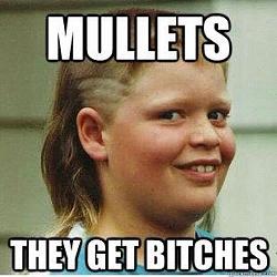 Click image for larger version. 

Name:	Mullet 3.jpg 
Views:	317 
Size:	36.6 KB 
ID:	584426