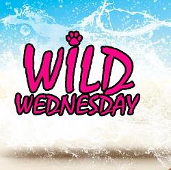 Click image for larger version. 

Name:	Wild Wednesday.JPG 
Views:	70 
Size:	53.6 KB 
ID:	1220462