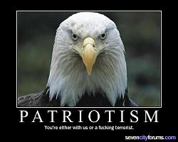 Click image for larger version. 

Name:	patriotism_193.jpg 
Views:	590 
Size:	41.0 KB 
ID:	64810