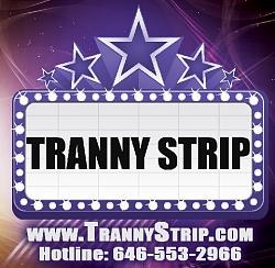 Click image for larger version. 

Name:	TRANNY STRIP.jpg 
Views:	254 
Size:	56.0 KB 
ID:	500051