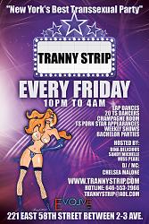 Click image for larger version. 

Name:	TRANNY STRIP EVOVE.jpg 
Views:	254 
Size:	833.4 KB 
ID:	500048