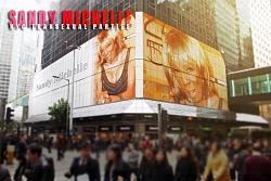 Click image for larger version. 

Name:	Sandy Michelle Billboard .jpg 
Views:	580 
Size:	46.6 KB 
ID:	795910