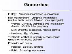Click image for larger version. 

Name:	Gonorrhea+Etiology_+Neisseria+gonorrhoeae+(gonococcus).jpg 
Views:	90 
Size:	96.0 KB 
ID:	1066085