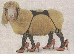 Click image for larger version. 

Name:	sexy sheep.jpg 
Views:	861 
Size:	38.8 KB 
ID:	599914