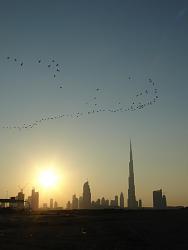 Click image for larger version. 

Name:	dubai.jpg 
Views:	1199 
Size:	77.9 KB 
ID:	635533