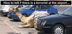 Click image for larger version. 

Name:	camel-airport_921.jpg 
Views:	1122 
Size:	22.7 KB 
ID:	32095