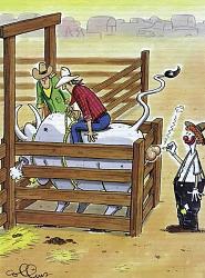 Click image for larger version. 

Name:	riding_the_bull_694.jpg 
Views:	1379 
Size:	72.5 KB 
ID:	167135