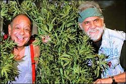 Click image for larger version. 

Name:	cheechandchong.jpg 
Views:	82 
Size:	31.5 KB 
ID:	293864