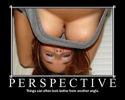 Click image for larger version. 

Name:	perspective better.jpg 
Views:	407 
Size:	46.6 KB 
ID:	321418