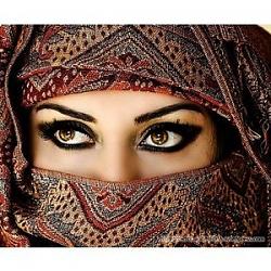 Click image for larger version. 

Name:	arabian.jpg 
Views:	657 
Size:	42.7 KB 
ID:	460694