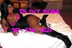 Click image for larger version. 

Name:	ts_ivy_rose2_616.jpg 
Views:	1151 
Size:	169.0 KB 
ID:	703593